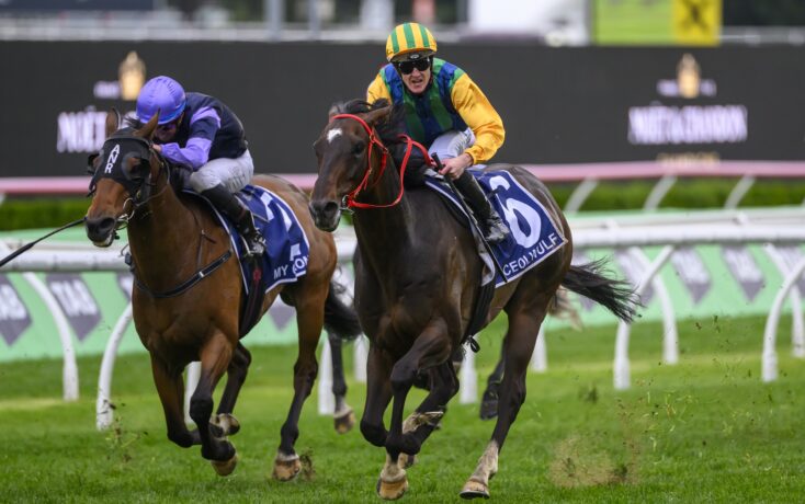 鉴勇士队的 鉴勇士队的